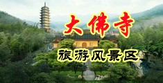 x0x03p性交中国浙江-新昌大佛寺旅游风景区